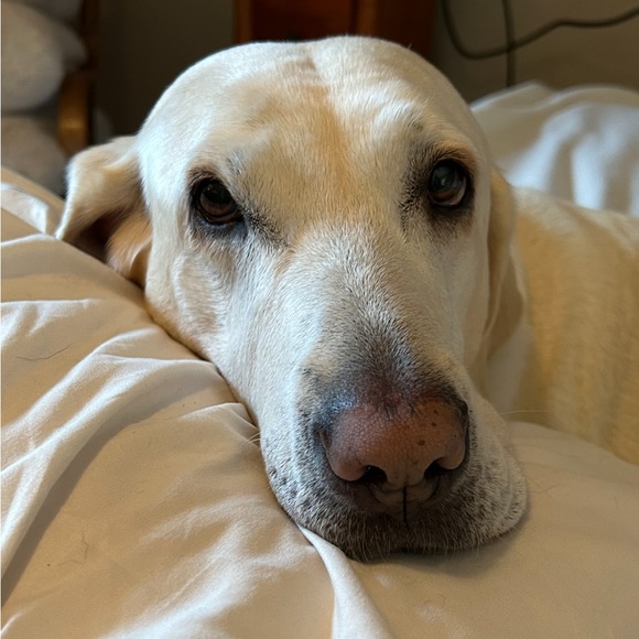 Meet your Posher, Mary - Picture 2 of 3